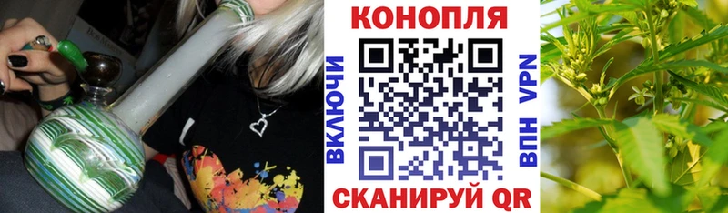где найти   Сасово  Бошки марихуана индика 